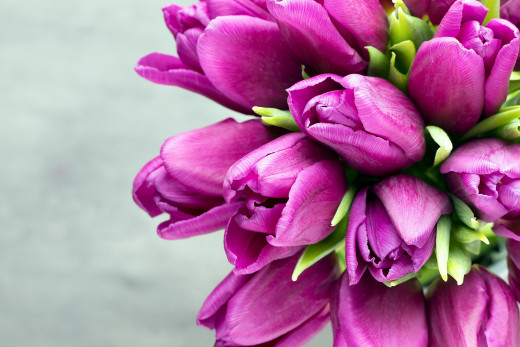 1147933 (a): :2560x1706